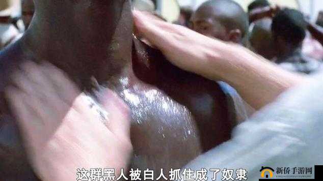 欧美性狂猛爱：探索校园内的激情与混乱