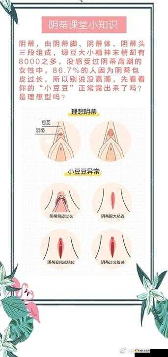 为什么女人会有荫蒂？它的存在有什么意义？