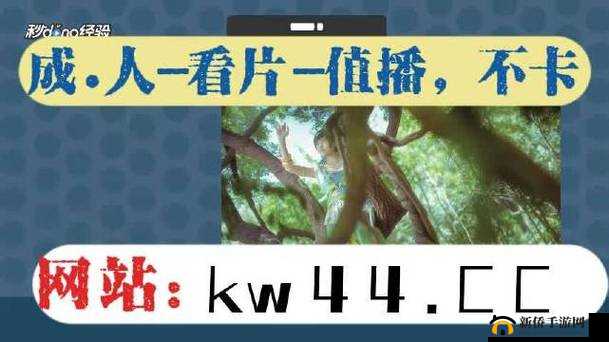 5G影院天天爽大陆一级究竟有何独特魅力？快来一探究竟吧