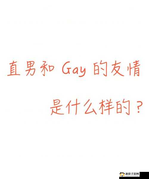 探秘chⅰnese我与猛男GAY的独特故事：一段不为人知的情感历程与深刻体验