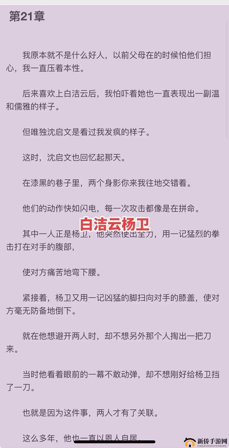 白洁传（番外篇）：揭示不为人知的秘密，背后的故事竟然是这样？