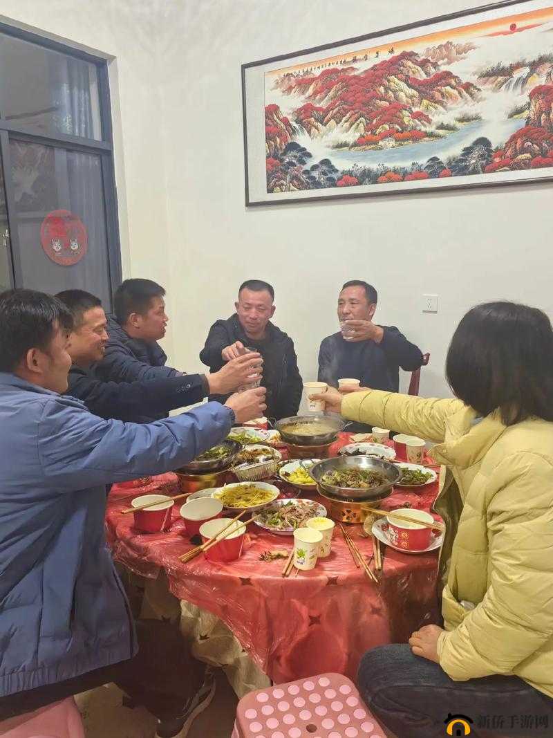 大团圆结2亲情会：王芳与高敏的感人重逢，家庭温暖再续前缘