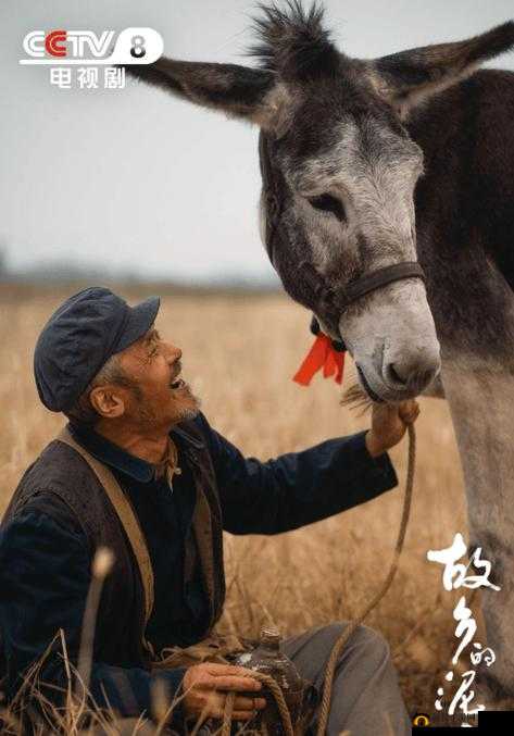 卫老爹的幸福生活：从农村到城市的奋斗与爱情