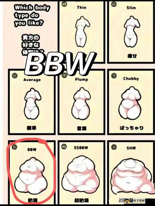 什么是国产BBWBBWBBwBBW？深入探究其背后的含义与特点或者国产BBWBBWBBwBBW为何引发关注？全面解读这一现象的成因与影响